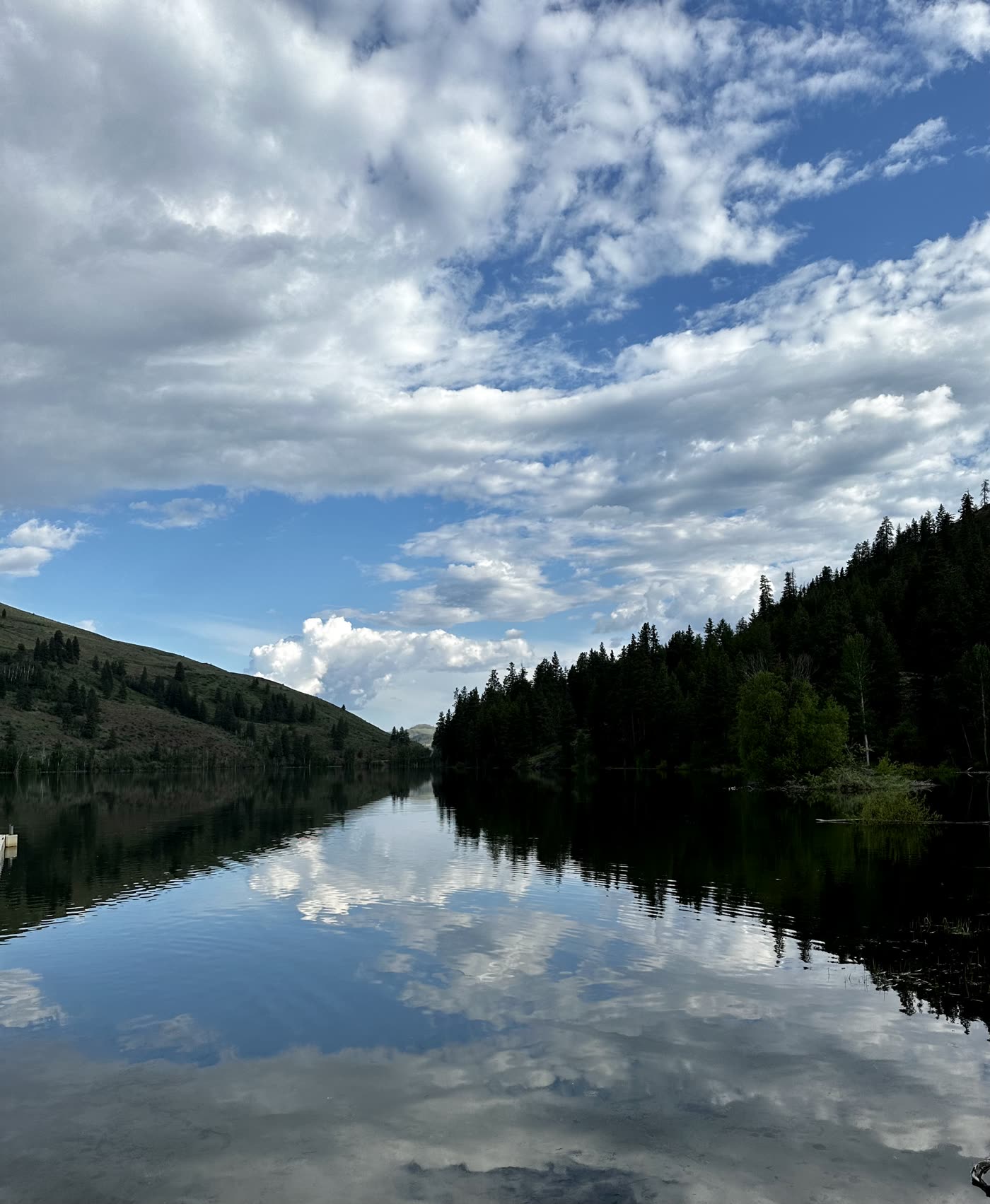 Attunement — being truly seen without being fixed